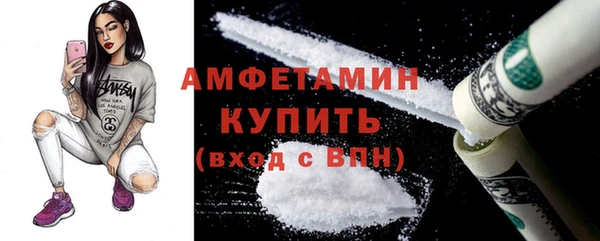 гидра Новодвинск