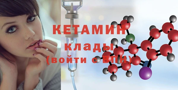 стаф Новозыбков