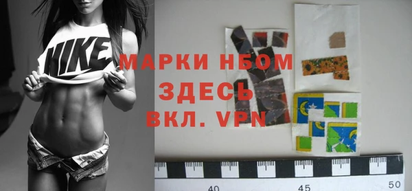 гидра Новодвинск
