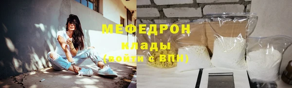 стаф Новозыбков