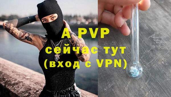 стаф Новозыбков