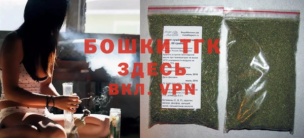 стаф Новозыбков