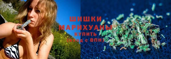 гидра Новодвинск
