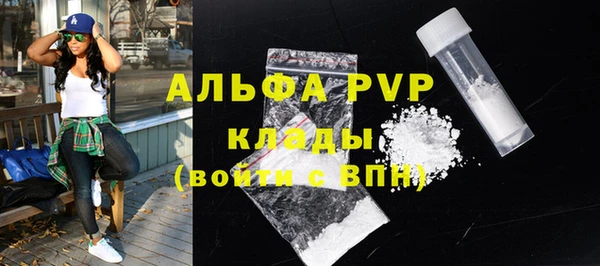 стаф Новозыбков