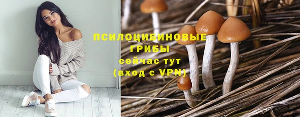 гидра Новодвинск