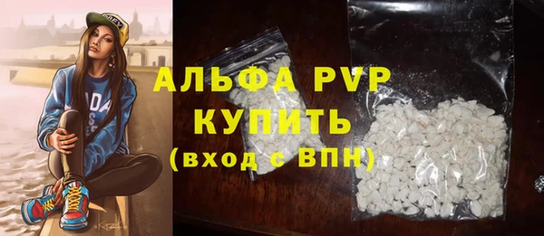 гидра Новодвинск