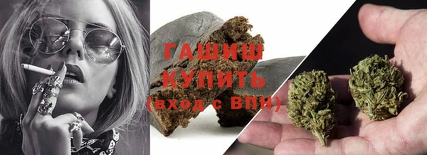 стаф Новозыбков