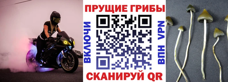 shop как зайти  Лакинск  kraken рабочий сайт  Псилоцибиновые грибы мицелий  купить наркотик 