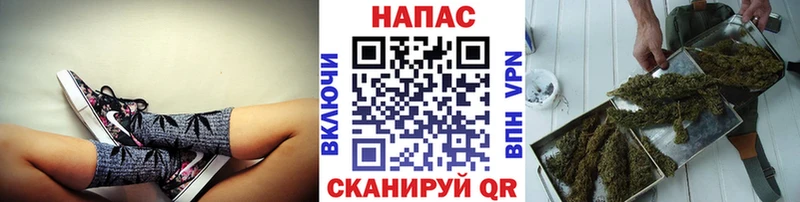 Конопля OG Kush  купить наркотик  mega онион  Лакинск 